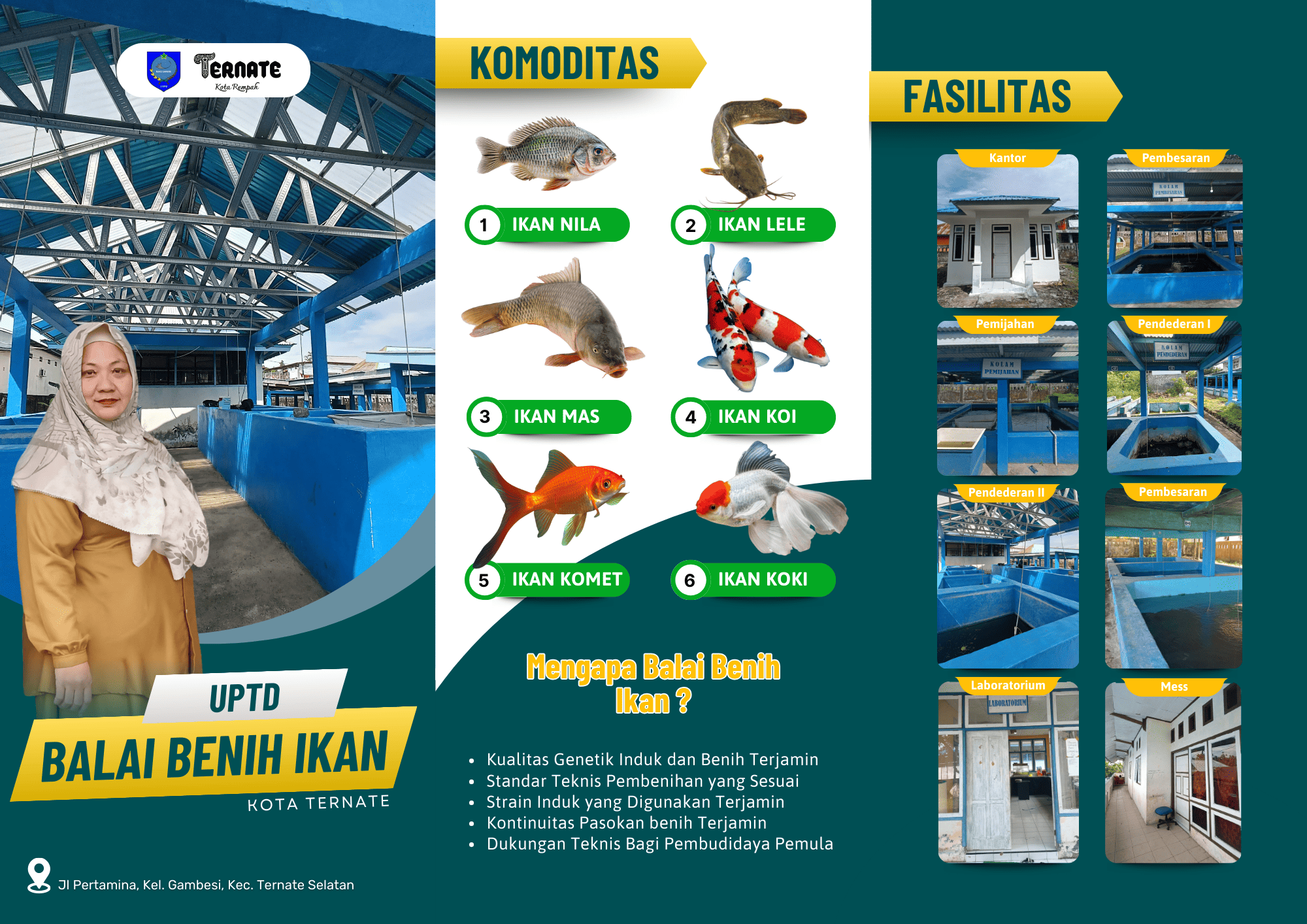 Tosca Kuning Modern Paket Jelajah di Indonesia  Brosur Trifold (1).png
